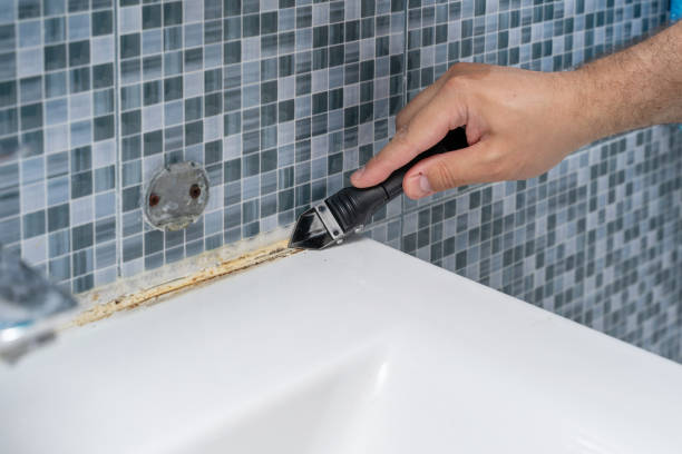 Best Mold Removal Near Me  in Sterling City, TX