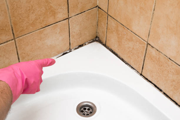 Best Mold Removal and Inspection  in Sterling City, TX